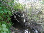 Multiple Culvert Crossing, Long Creek at Cummings Rd, South Portland, Maine