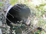 Multiple Culvert Crossing, Long Creek at Cummings Rd, South Portland, Maine