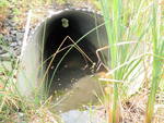Multiple Culvert Crossing, Long Creek at Gannett Dr, South Portland, Maine