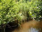 Multiple Culvert Crossing, Lords Brook at Day Rd, Lyman, Maine