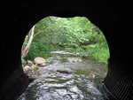 Multiple Culvert Crossing, Lovejoy Stream at Colby Rd, Somerville, Maine