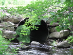 Multiple Culvert Crossing, Lovejoy Stream at Colby Rd, Somerville, Maine