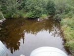 Multiple Culvert Crossing, Luce Brook at Colegrove Rd, New Portland, Maine