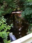 Multiple Culvert Crossing, Main Stream at Black Road, Searsport, Maine