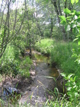 Multiple Culvert Crossing, Marsh Stream at Haley Road, Winterport, Maine