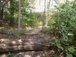 Multiple Culvert Crossing, Martin Stream at Bear Pond Rd, Turner, Maine