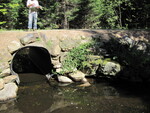 Multiple Culvert Crossing, Martin Stream at Webster Cemetary Rd, Troy, Maine