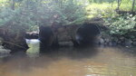 Multiple Culvert Crossing, Mattagodus Stream at Coffin Rd, Springfield, Maine