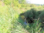 Multiple Culvert Crossing, Maxwell Brook at Swamp Rd, Sabattus, Maine