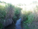 Multiple Culvert Crossing, Maxwell Brook at Swamp Rd, Sabattus, Maine