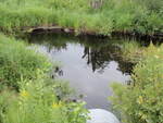 Multiple Culvert Crossing, McGurdy Stream at Gordon Hill Road, Chesterville, Maine