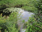 Multiple Culvert Crossing, McGurdy Stream at Gordon Hill Road, Chesterville, Maine
