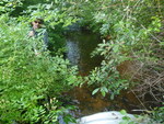 Multiple Culvert Crossing, McIntosh Brook at Lower Beach Rd, Windham, Maine