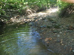 Multiple Culvert Crossing, Meader Brook at I-95, Portland, Maine