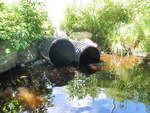 Multiple Culvert Crossing, Meadow Brook at Egypt Rd, Damariscotta, Maine