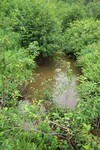Multiple Culvert Crossing, Meadow Brook at Loggin Road, Frankfort, Maine