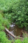 Multiple Culvert Crossing, Meadow Brook at Loggin Road, Frankfort, Maine
