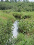 Multiple Culvert Crossing, Meadow Brook at Meadow Brk Rd, Woodville, Maine