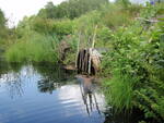 Multiple Culvert Crossing, Meadow Brook at Railroad, Woodville, Maine
