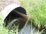 Multiple Culvert Crossing, Meadow Brook at Railroad, Woodville, Maine