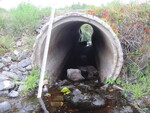 Multiple Culvert Crossing, Meadow Brook at South Horseback Rd, Burnham, Maine