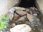 Multiple Culvert Crossing, Meadow Brook at South Horseback Rd, Burnham, Maine