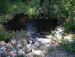 Multiple Culvert Crossing, Meadow Brook at Tobey Rd, China, Maine
