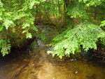 Multiple Culvert Crossing, Merrifield Brook at Douglas Rd, Limington, Maine