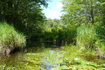Multiple Culvert Crossing, Merriland River at Bald Hill Rd, Wells, Maine