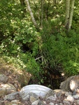 Multiple Culvert Crossing, Merriland River at Sam Allen Rd, Sanford, Maine