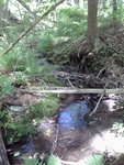 Multiple Culvert Crossing, Merriland River at Willow Way, Wells, Maine