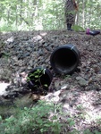 Multiple Culvert Crossing, Merriland River at Willow Way, Wells, Maine