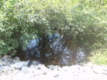Multiple Culvert Crossing, Merrill Brook at Richards Lane, Freeport, Maine