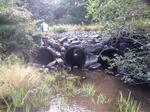 Multiple Culvert Crossing, Michael Stream at Hole In The Wall Rd, Solon, Maine