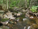 Multiple Culvert Crossing, Middle Branch Bog Brook at Station Rd, Hebron, Maine
