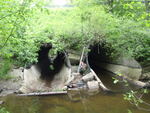 Multiple Culvert Crossing, Mill Brook at Austin St, Westbrook, Maine