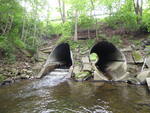 Multiple Culvert Crossing, Mill Brook at Austin St, Westbrook, Maine