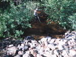 Multiple Culvert Crossing, Mill Brook at Blanchard, Cumberland, Maine