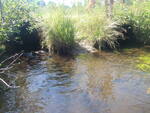 Multiple Culvert Crossing, Mill Brook at Legron, Gray, Maine