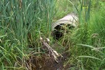 Multiple Culvert Crossing, Mill Creek at River Road, Orrington, Maine