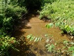 Multiple Culvert Crossing, Moody Brook at Ellingwood Rd, West Paris, Maine