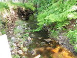 Multiple Culvert Crossing, Moors Brook at Unknown, Biddeford, Maine