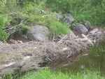Multiple Culvert Crossing, Morrison Brook at River Rd, Milo, Maine