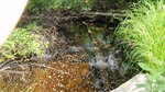 Multiple Culvert Crossing, Morrison Brook at South Oakfield Road, Oakfield, Maine