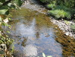 Multiple Culvert Crossing, N. Branch Trout Brook at Park Tote Road, Nesourdnahunk Twp, Maine