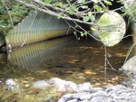 Multiple Culvert Crossing, N. Branch Trout Brook at Park Tote Road, Nesourdnahunk Twp, Maine