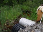 Multiple Culvert Crossing, Nason Brook at Huricane Rd, Gorham, Maine
