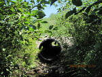 Multiple Culvert Crossing, Nequasset Brook at Calls Hill Rd, Dresden, Maine
