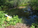 Multiple Culvert Crossing, North Branch Little River at Osippee Trail, Standish, Maine