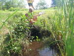 Multiple Culvert Crossing, North Branch Little River at Osippee Trail, Standish, Maine
